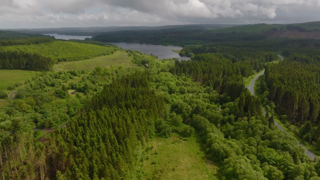 Forestry England Woven Films